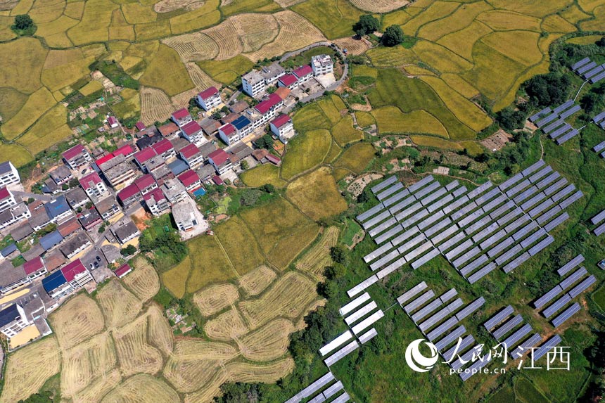 �����R�^���������c̫��ܹ���塰�����xӳ��������W �r��z