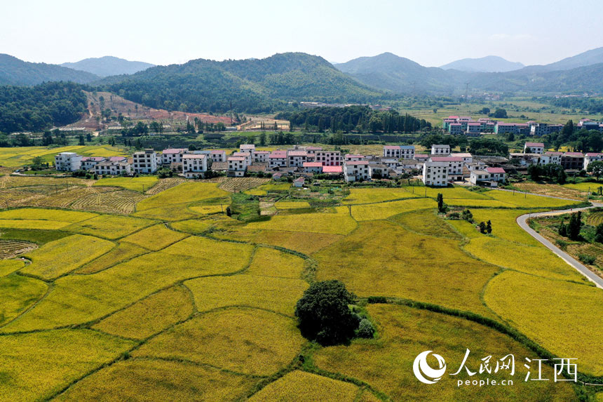 ���ո�ĵ���һƬ��N�N���Aʾ���S���꾰������W �r��z