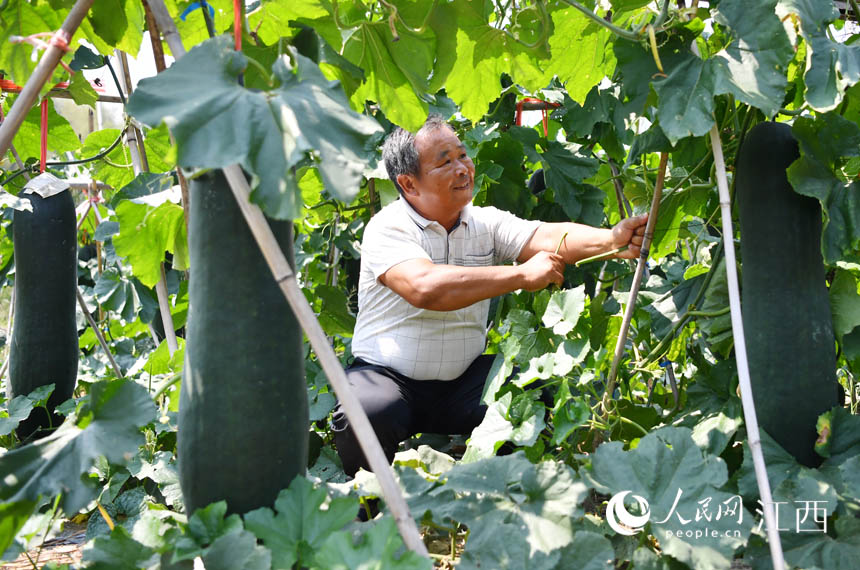 ڶϷNֲMg@Щ߀ʮܲժ W rz