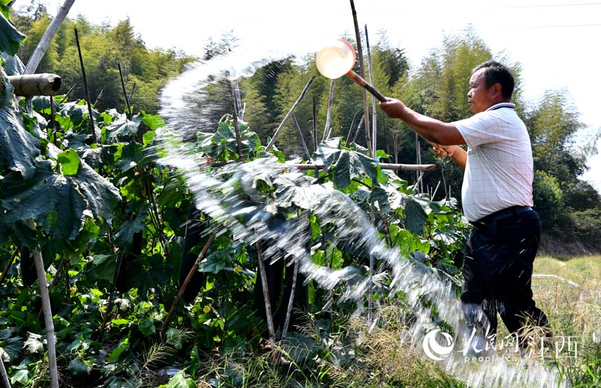 �ڶ��ϷNֲ���������������M�����g�������@Щ����߀��ʮ������ܲ�ժ������ ����W �r��z