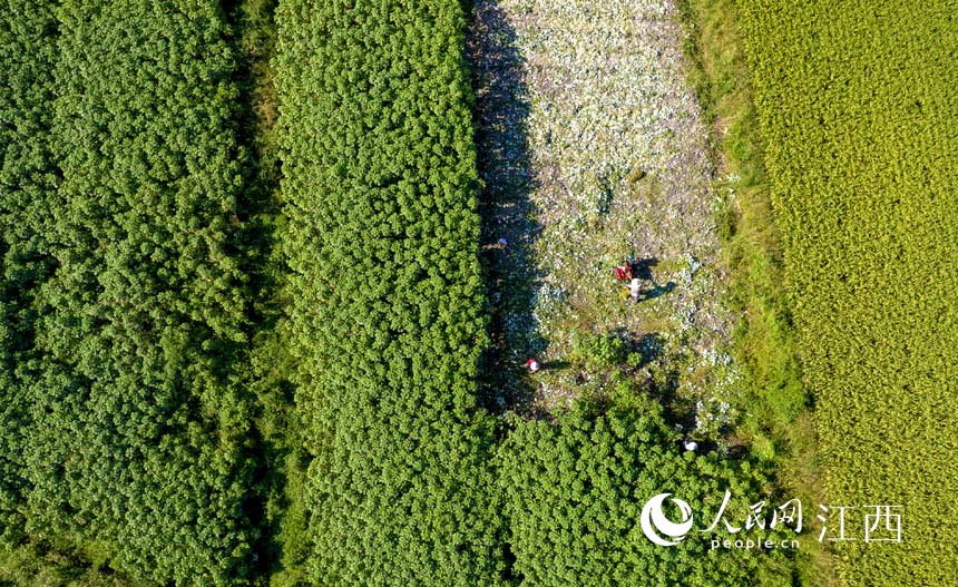 �r�����ÙCе�����r�����w�����z