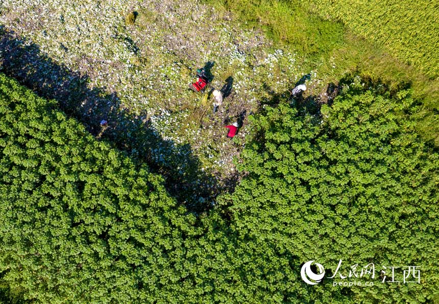 �r�����ÙCе�����r�����w�����z