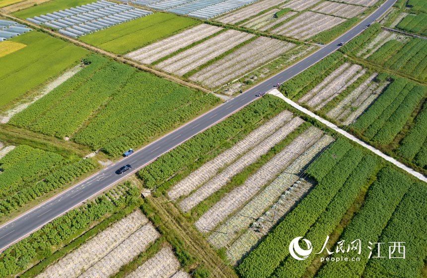 �����r��Nֲ�������w�����z