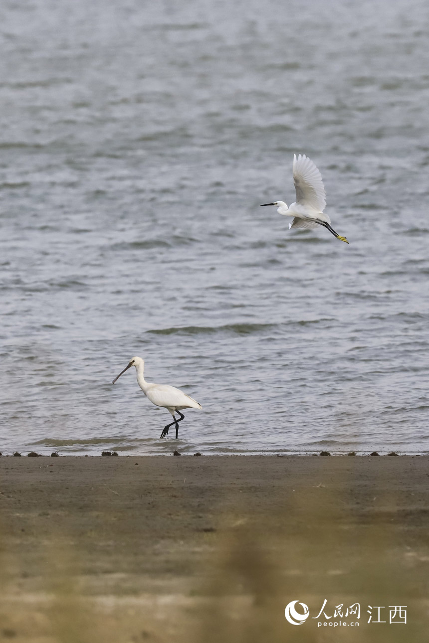 10��8����Խ�����B��������۶ꖺ����Ғʳ������ �z