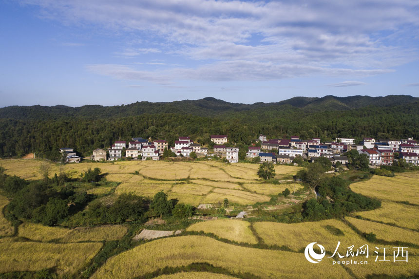 �����h�����LԴ�]�塰�S���� �箋�����_���z