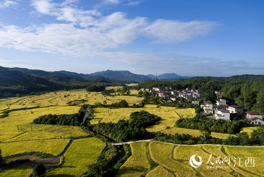 �����h�����LԴ�]�塰�S���� �箋�����_���z