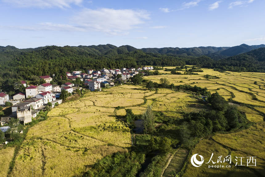 �����h�����LԴ�]�塰�S���� �箋�����_���z