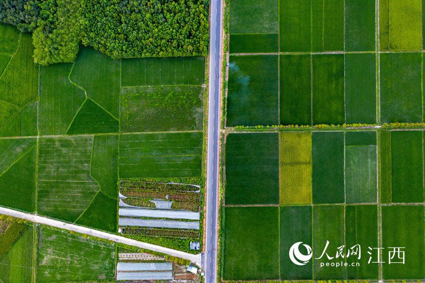 204ʡ����̫��߮ꖶ�ʾ��·���T���� �z