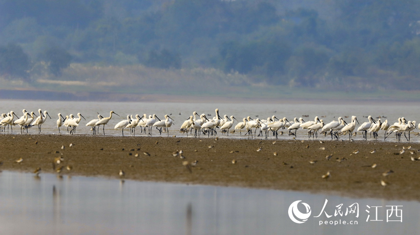 ȺϡԽBw۶ꖺʡŽкڿh  z