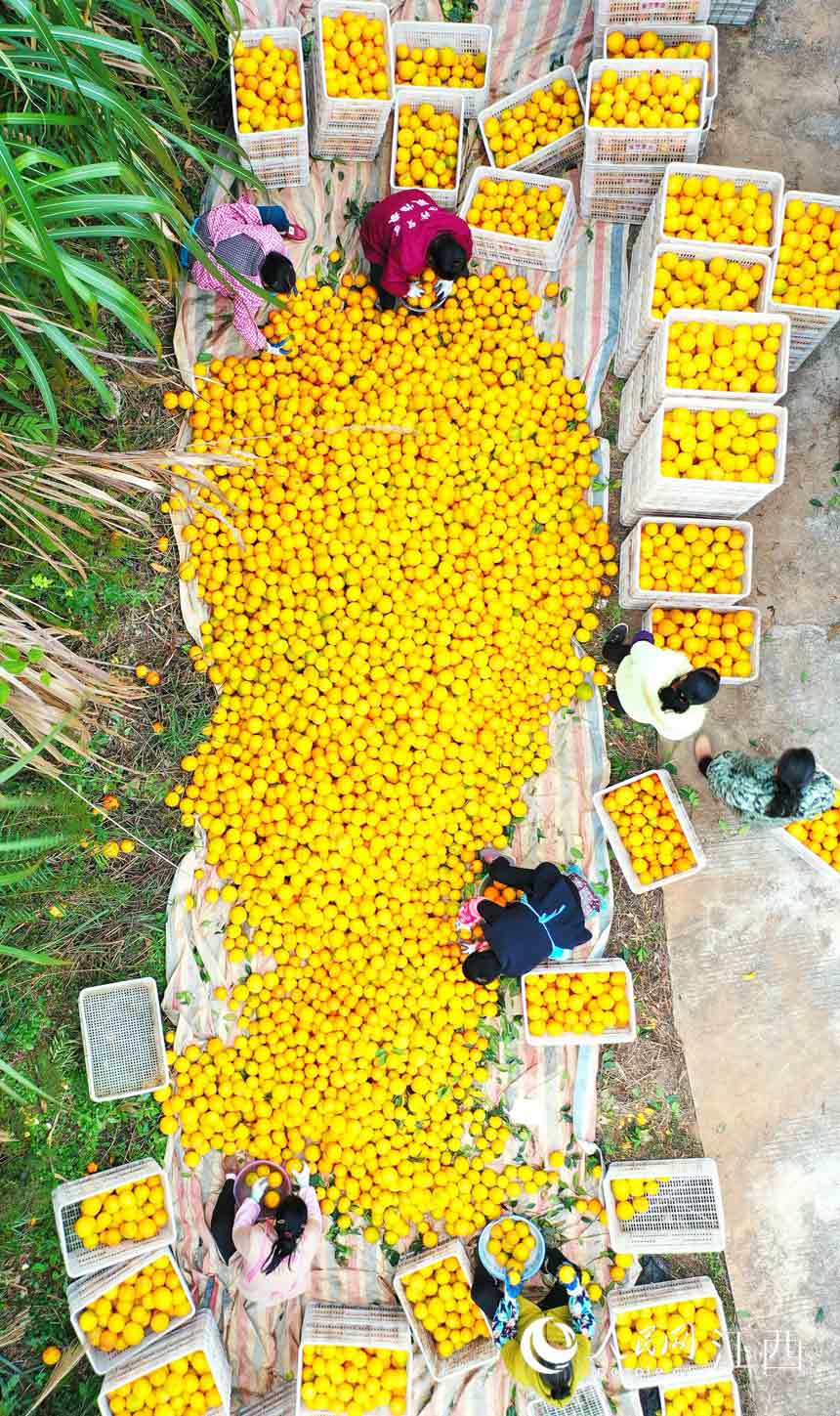 ���r��æ���֒��b�\Ě�����캣�i �z