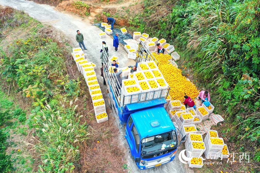 ���r��æ���֒��b�\Ě�����캣�i �z