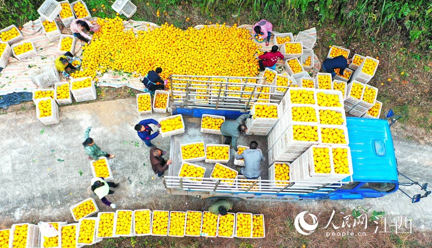 ���r��æ���֒��b�\Ě�����캣�i �z