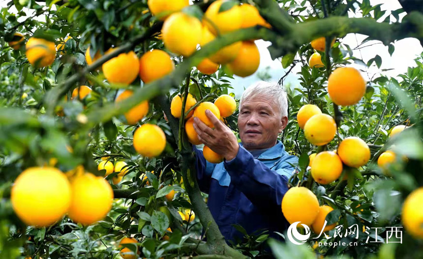 ���r��æ����ժĚ����� �z