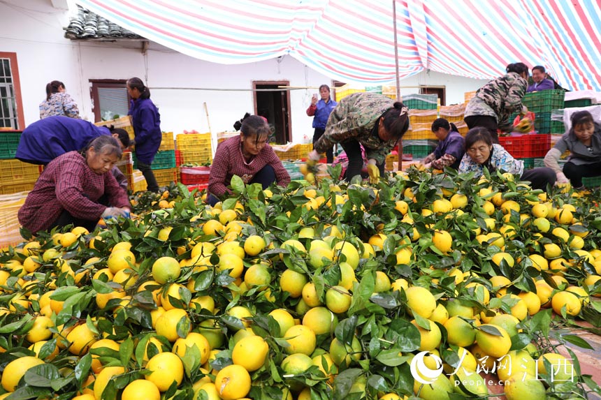 ���r��æ���֒�Ě����� �z