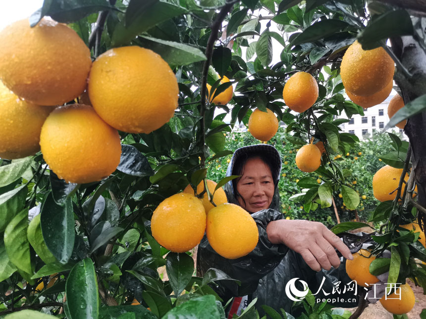 ���r��æ����ժĚ����� �z