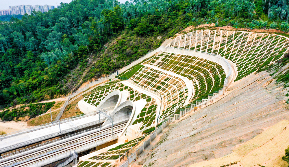 大批候鳥遷徙到鄱陽湖自然保護區越冬