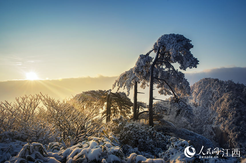 ɽӭѩͯԒ  z