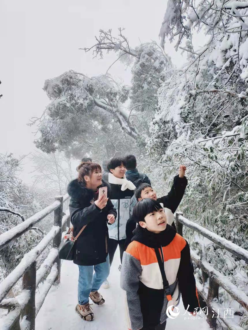 ο͂ðɽɽ픵Ķ Ԫ z