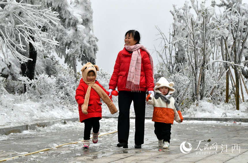 Lӂϲ̎pѩ W rz