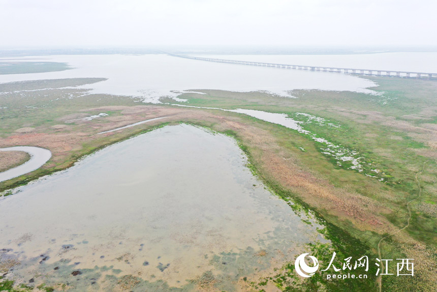 ǡԭϝqĺˮݞu͛] W rz