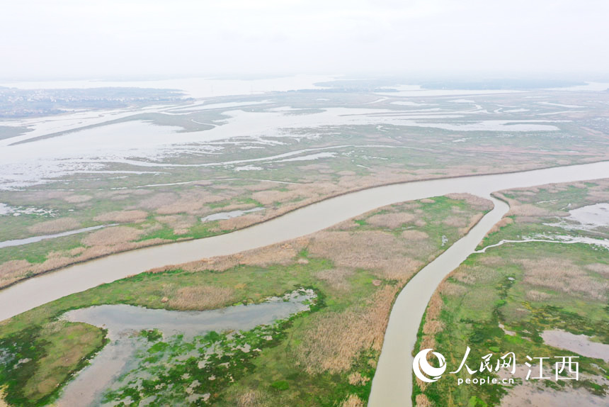 ǡԭϝqĺˮݞu͛] W rz