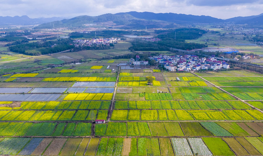 ǧ߲˻cͲ˻fӳȤwz