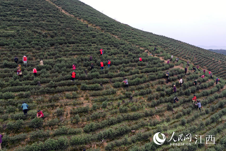 ���¿h�JϪ�l��־Ը����ƽ�S��f�������ժ��ǰ�ײ��� ����W �r��z