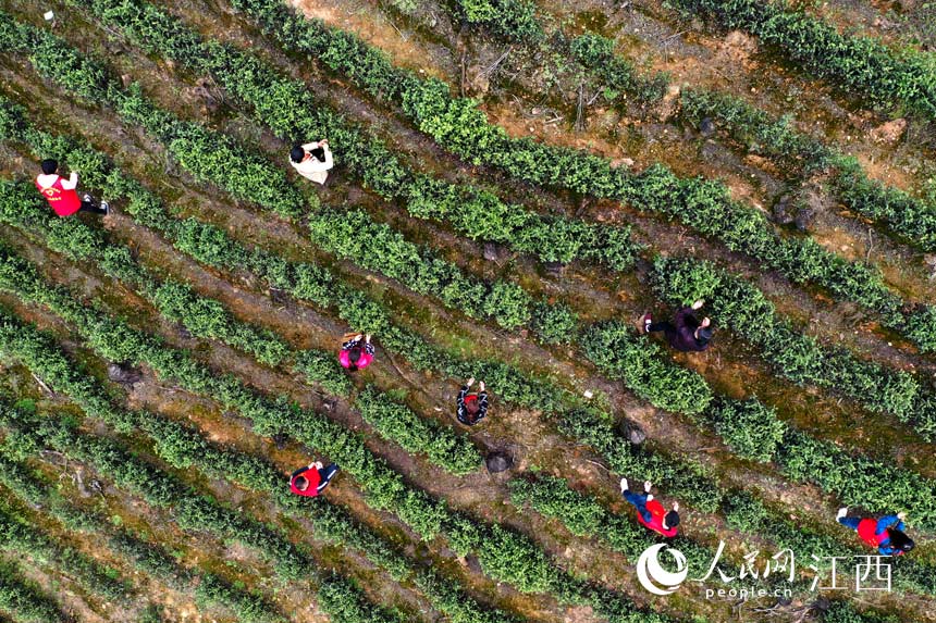 ���¿h�JϪ�l��־Ը����ƽ�S��f�������ժ��ǰ�ײ��� ����W �r��z