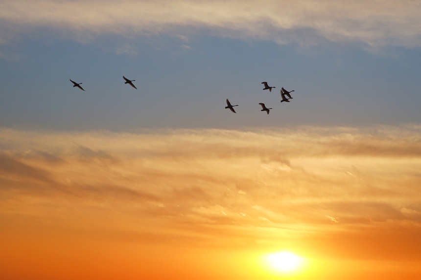 �Ž���ɣ�^�|���ȵĺ��B�_ʼ���w������܊ �z  