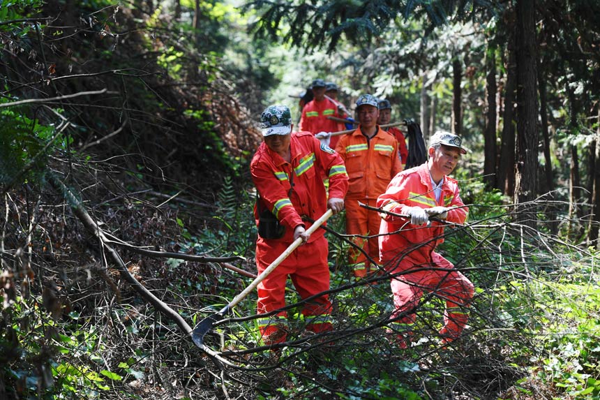 �o�ֆT��ɽ��Ѳ�o�������z