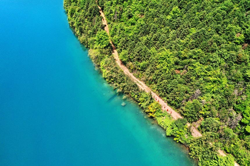 �o�ֆT��ɽ��Ѳ�o�������z