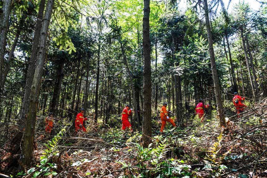 �o�ֆT��ɽ��Ѳ�o�������z