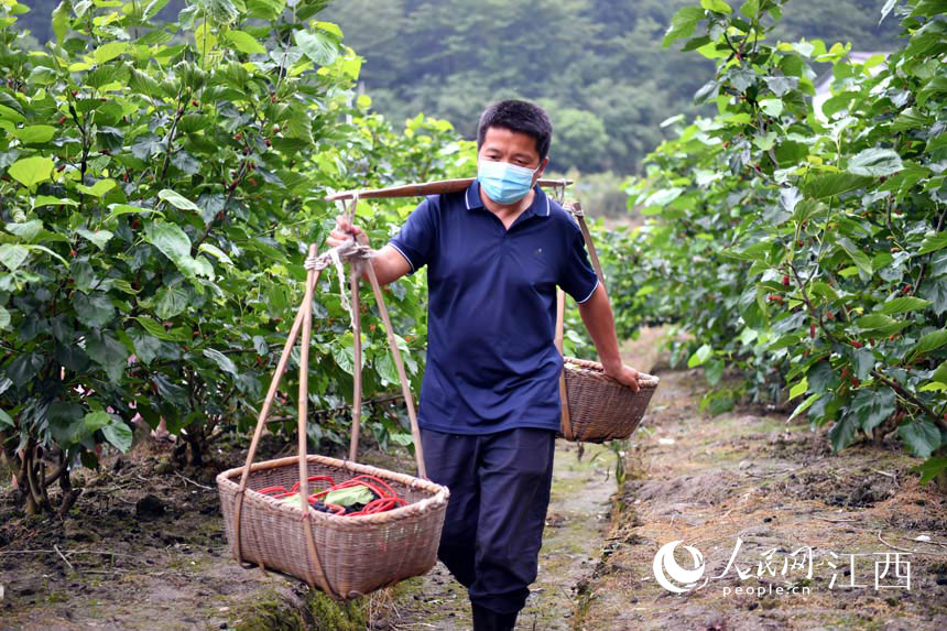 Ssժõɣ\ɣ؈@ W rz