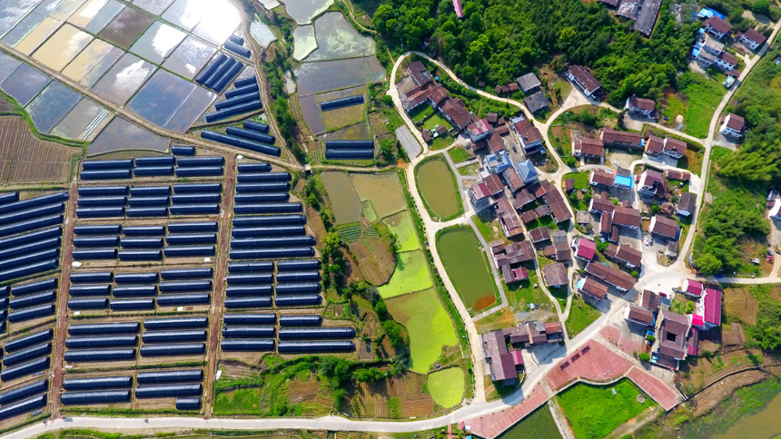 ďVhһ߲˴cV@ӳxФ|z