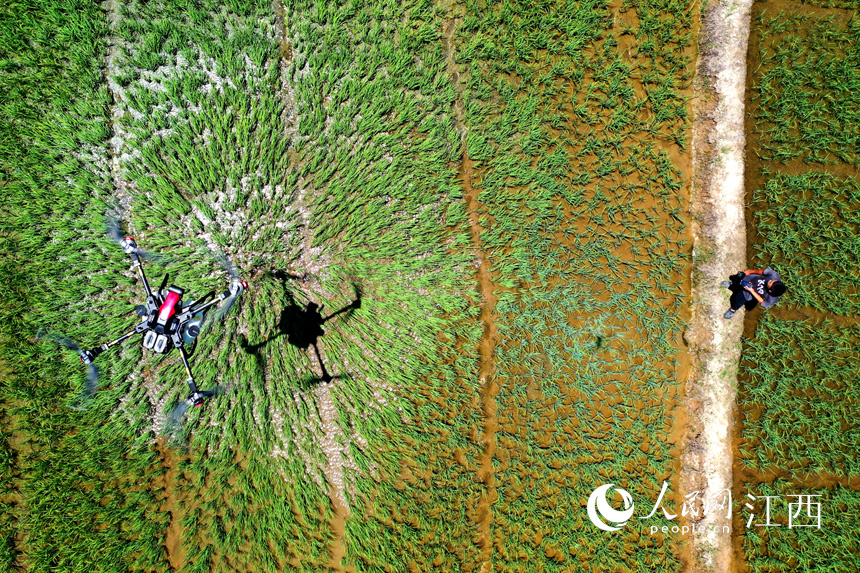 w֡whٿһܟo˙Cڇrˎx W rz