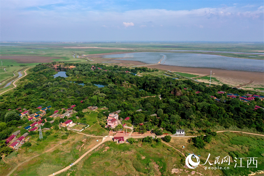 11日，鄱陽湖磯山附近水域實拍，湖水退去，草原景象逐漸顯現。 人民網 時雨攝