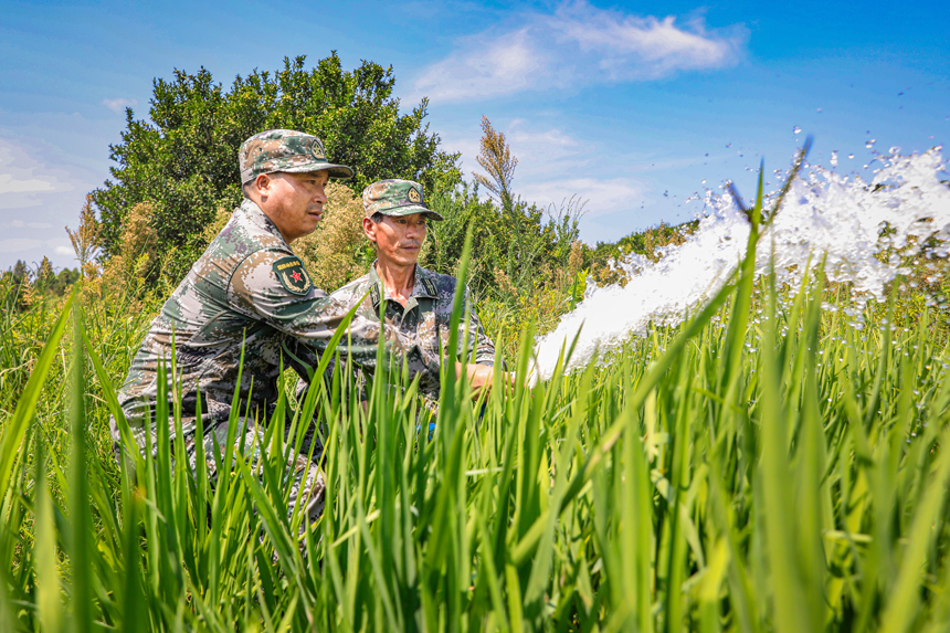 干部群眾正在抽水灌田。李煜祖攝
