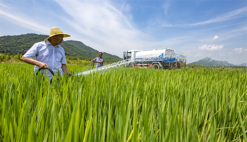 干部群眾協力引水抗旱。趙春亮攝