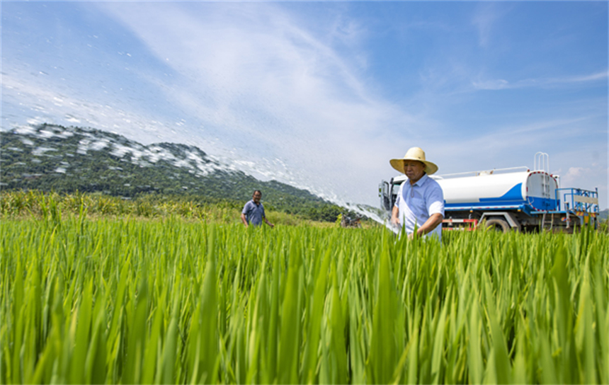 干部群眾協力引水抗旱。趙春亮攝