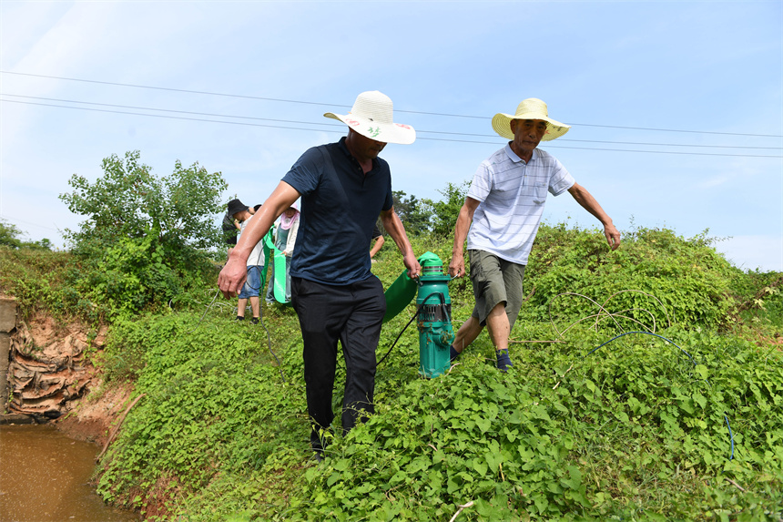 仰山村干部群眾準備將水泵放入肖江支流之中，抽取江水進入灌區渠道內用于澆灌干裂的稻田。周亮攝