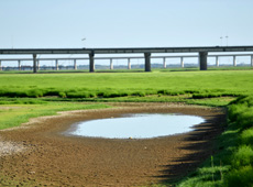 鄱陽湖低洼處形成水坑