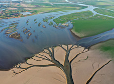 鄱陽湖核心湖區湖汊如經絡