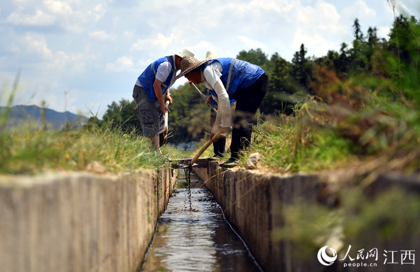 水投養護人員正在對干渠進行清淤砍雜，確保渠道暢通。 人民網 時雨攝