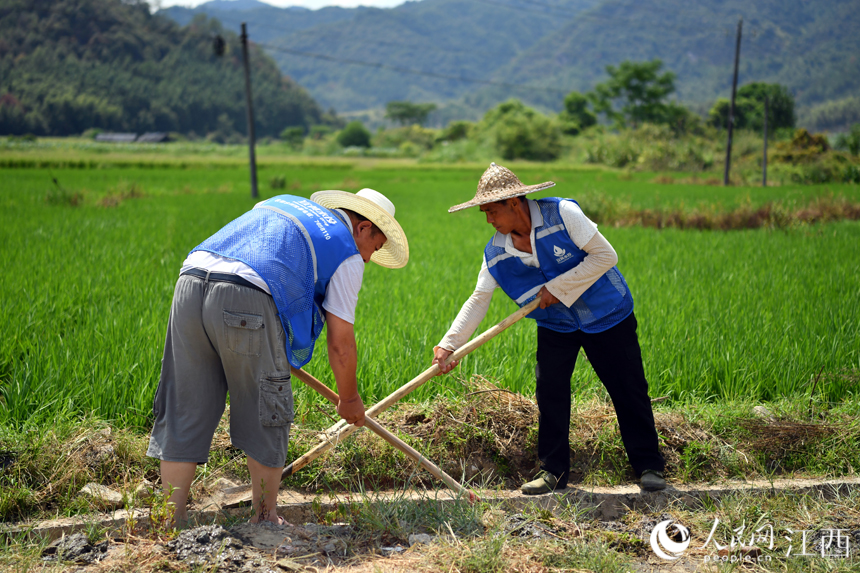 水投養護人員正在對干渠進行清淤砍雜，確保渠道暢通。 人民網 時雨攝