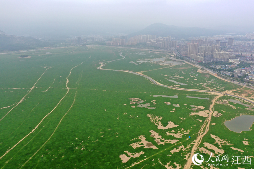 旱情給沿湖群眾的生產生活帶來極大影響。 人民網 時雨攝