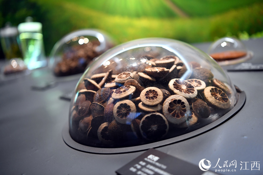 中醫藥博物館內展出的各類中藥材標本。 人民網 時雨攝