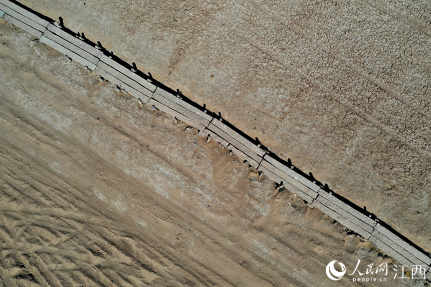 鄱陽湖水位持續走低，湖底的千眼古橋露出真容。 人民網 時雨攝