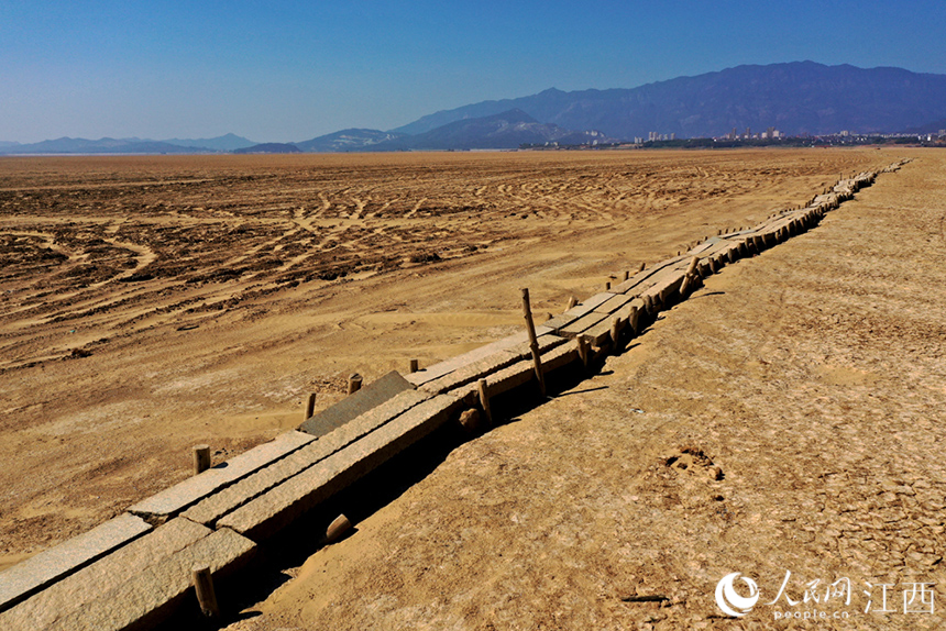鄱陽湖水位持續走低，湖底的千眼古橋露出真容。 人民網 時雨攝