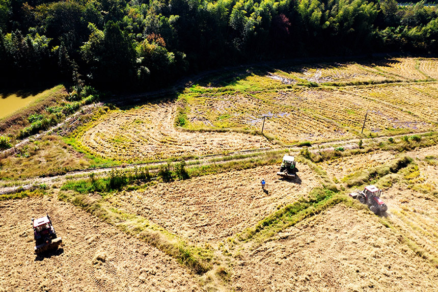 農戶駕駛著旋耕機在田里進行翻耕作業。吳志貴攝