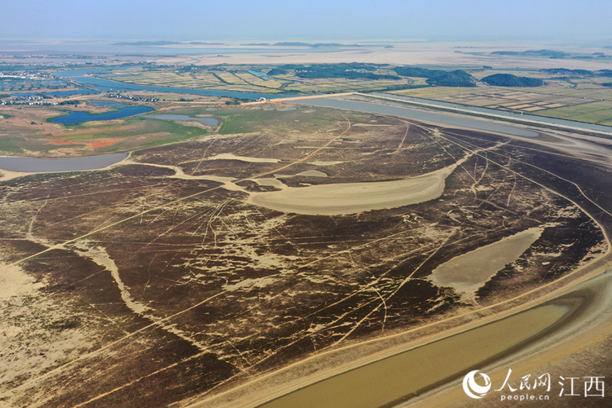 圖為本網日前拍攝的鄱陽湖老爺廟附近水域實況。 人民網 時雨攝